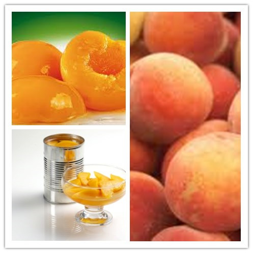 Душистые сочные персики – особенности употребления при грудном вскармливании
