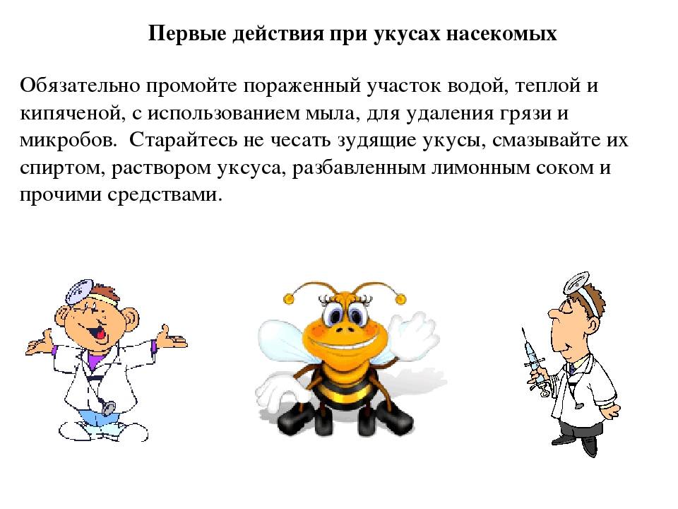 Оказание первой помощи при укусах насекомых: пчелы, осы, шершни, клещи