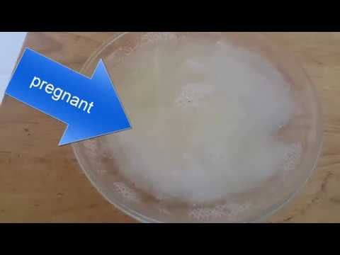 Точный тест на беременность с содой в домашних условях
