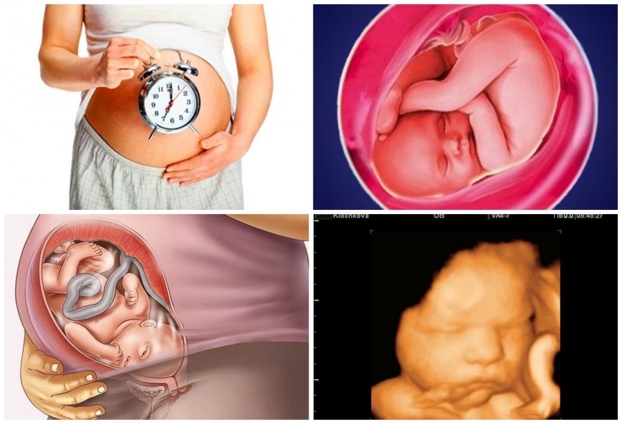 Третий триместр беременности: как организм женщины меняется и готовится к родам