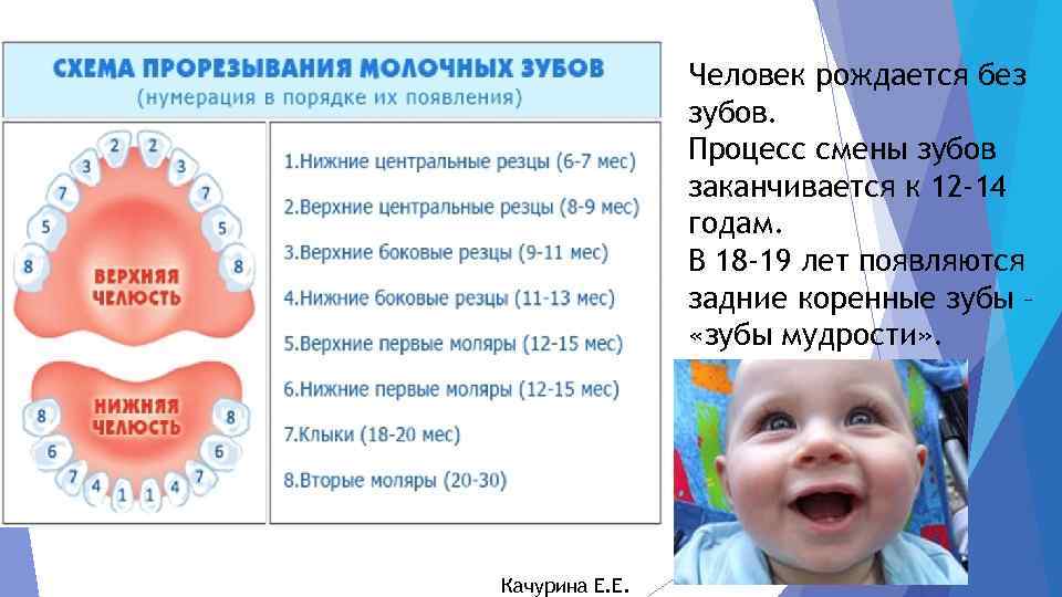 Когда начинают резаться зубки: как понять и чем помочь младенцу