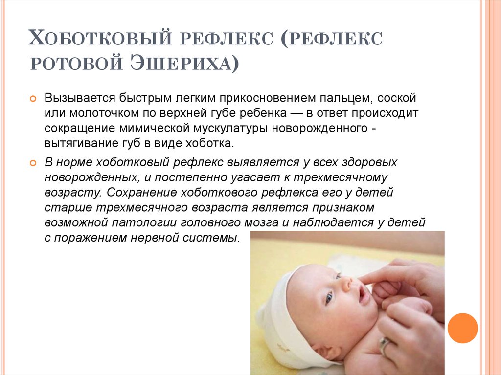 Нет глотательного, сосательного рефлекса, что делать? как восстановить рефлексы?