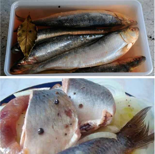 Рыба при грудном вскармливании: какую можно кормящей маме
