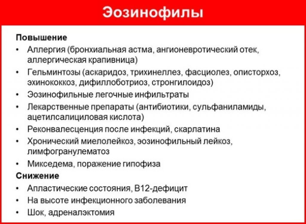 Анализ крови на лейкоциты