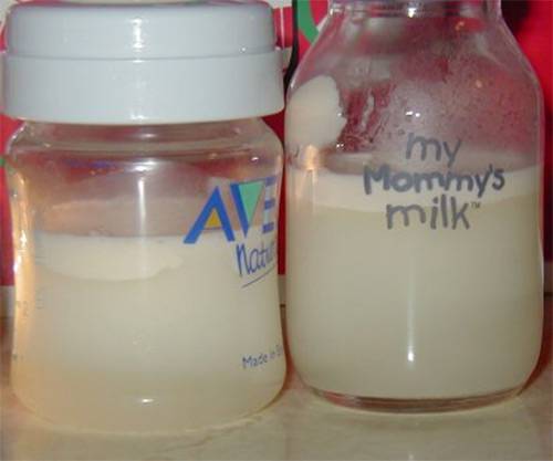 Что нужно кушать кормящей маме чтобы молоко было жирным и питательным
