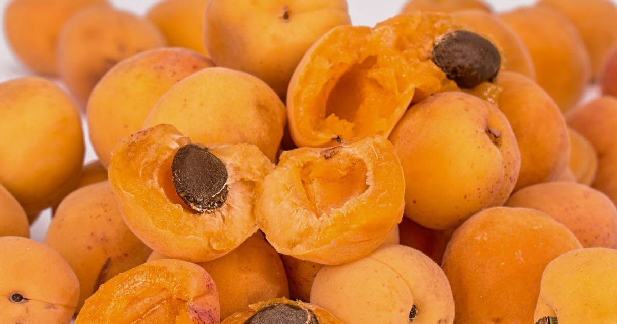 Сушеные абрикосы - польза и вред, лечебные свойства золотого сухофрукта