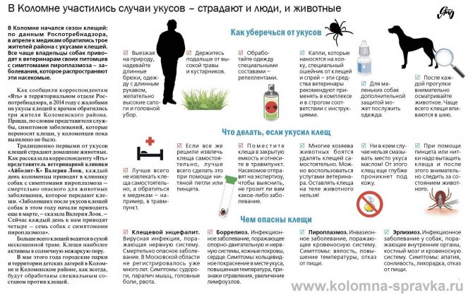От укуса комара у ребенка опух глаз — первая помощь, лечение