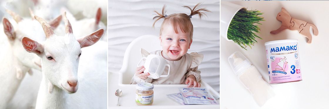 Полезное козье молоко для детей: ответы на волнующие вопросы