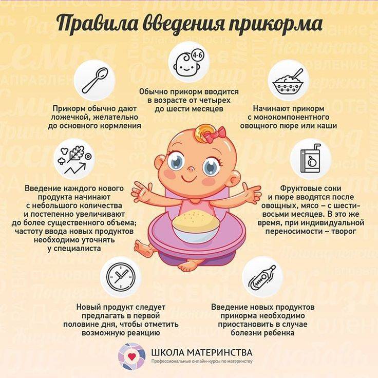 Календарь развития ребенка в 8 месяцев, что должен уметь
