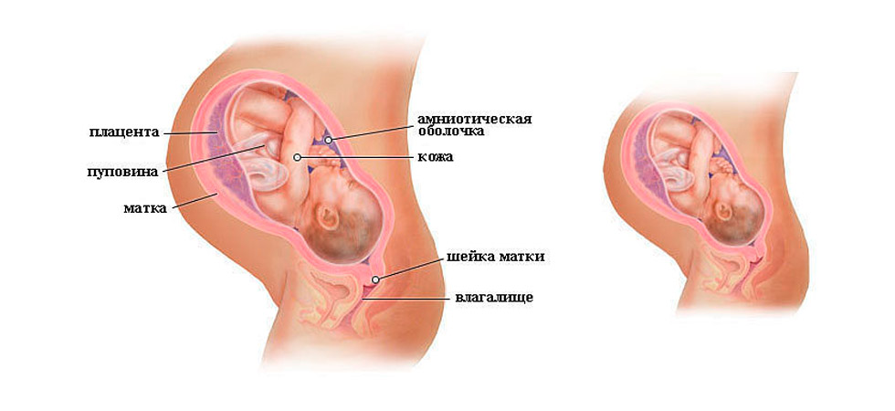 Подготовка к родам: предвестники родов. что происходит перед родами?