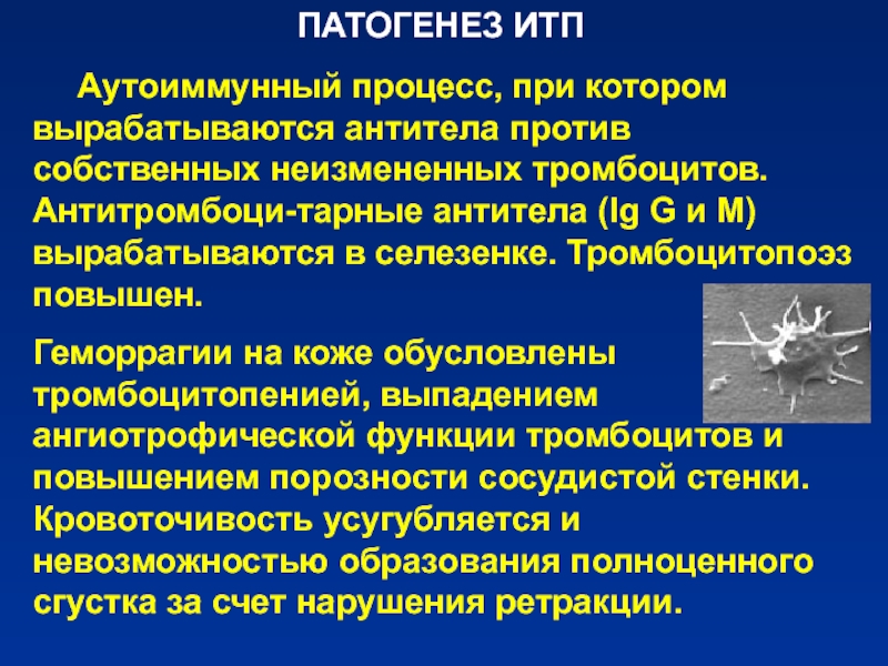 Идиопатическая тромбоцитопеническая пурпура презентация