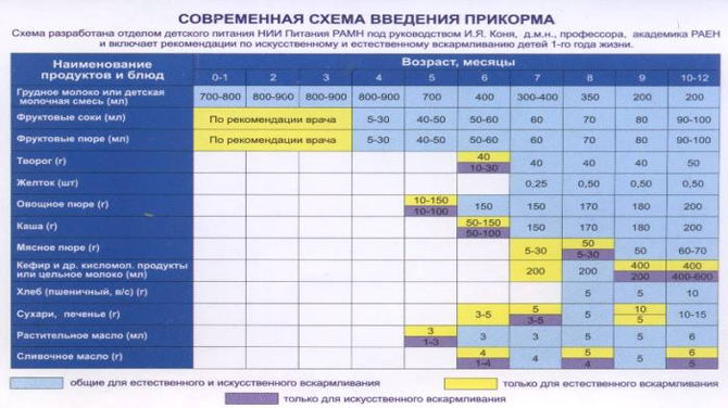 Подробная схема введения прикорма с 6 месяцев