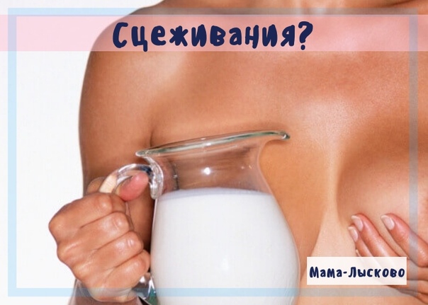 Копить ли молоко в груди к кормлению?