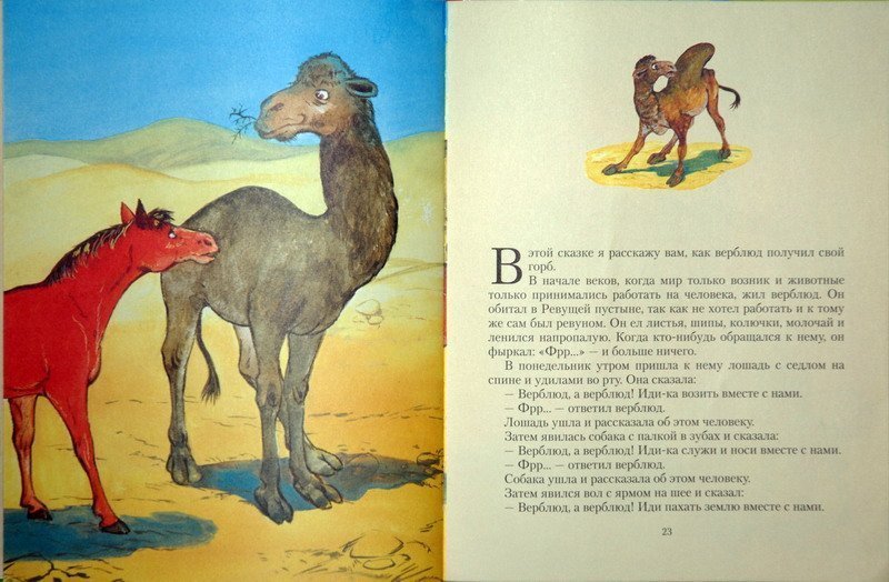 Для чего нужен верблюду горб. как объяснить ребенку 3-5 лет зачем верблюду горбы | интересные факты