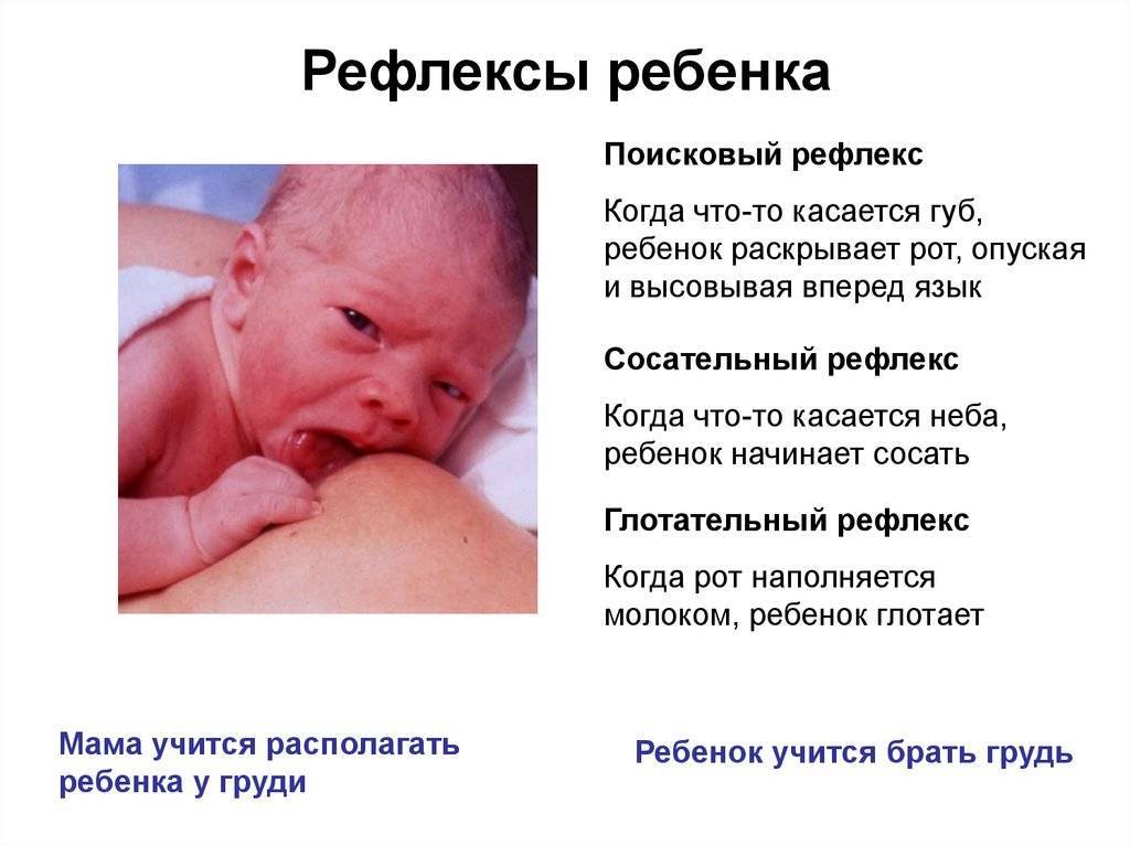 Причины отсутствие сосательного рефлекса у новорожденного