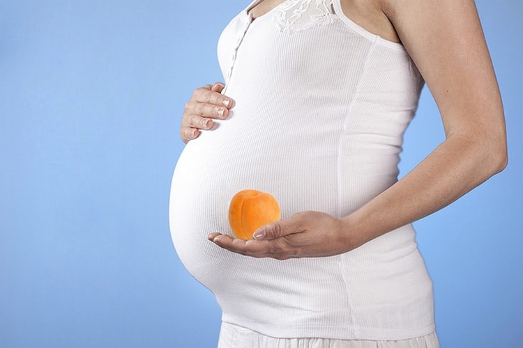 Абрикос при беременности: можно ли абрикос беременным