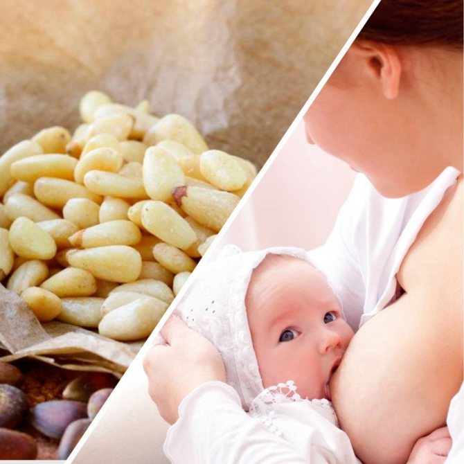 Орехи при грудном вскармливании: какие можно кормящей маме с первого месяца