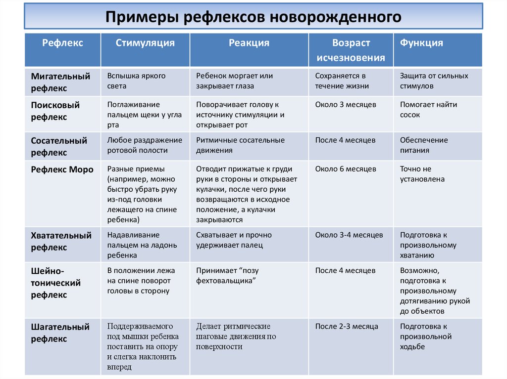 Рефлексы презентация неврология