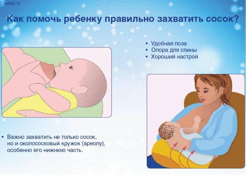 Как правильно кормить новорожденного
