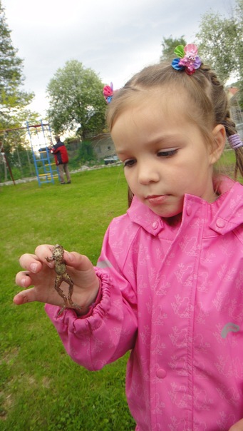 Ребёнок боится насекомых: как вести себя родителям