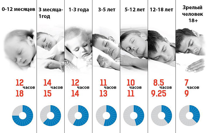 Сон ребенка в 1 год и 3 месяца