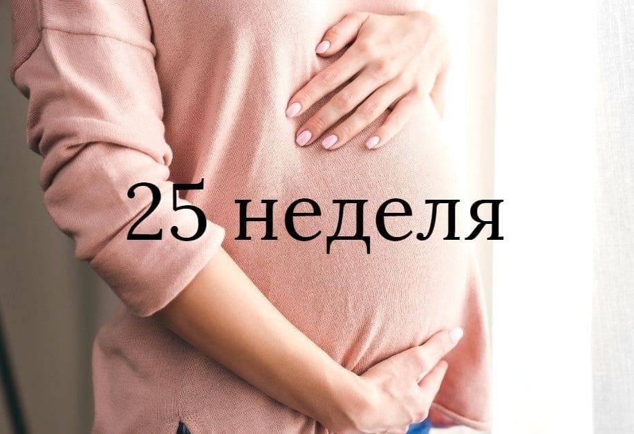 25-я акушерская неделя беременности: здоровье мамы и плода