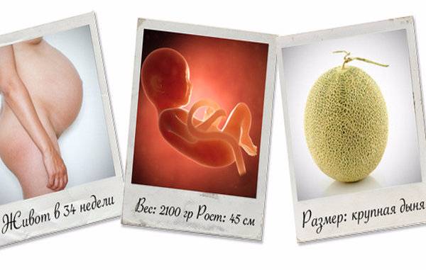 21 неделя беременности: признаки и ощущения женщины, симптомы, развитие плода