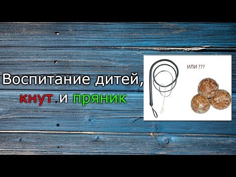 Как воспитать личность в ребенке: кнутом или пряником