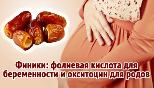 Финики при беременности: можно ли беременным финики