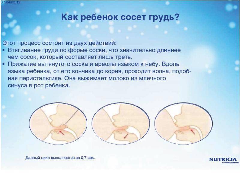 Массаж груди при кормлении – техника выполнения