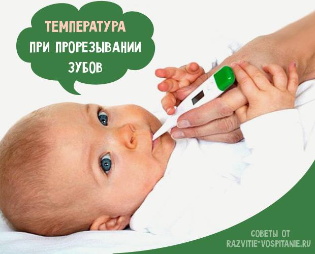 Температура при прорезывании зубов у грудничка: что нужно знать родителям | малыш здоров!