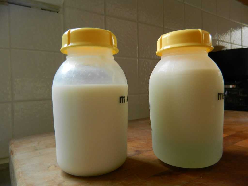 Как определить жирность грудного молока