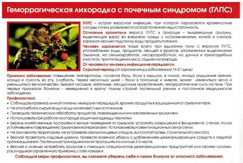 Оформляем документы правильно: до какого возраста ребенка дают больничный лист для матери?