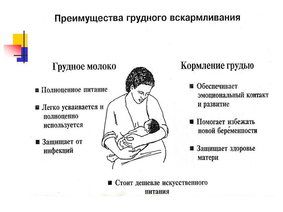 Секреты успешного грудного вскармливания. памятка для мам
