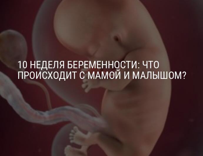 Аборт на 8 неделе беременности