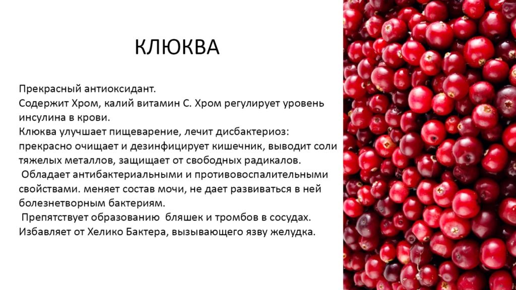 Клюква - польза ягоды - как выглядит - рецепты морса с видео