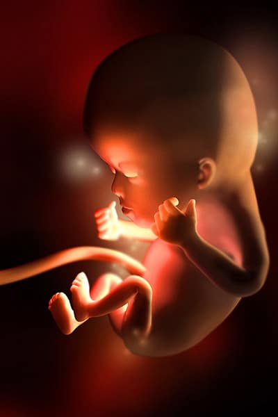 12 недель беременности: фото, что происходит с малышом, мамой, развитие плода