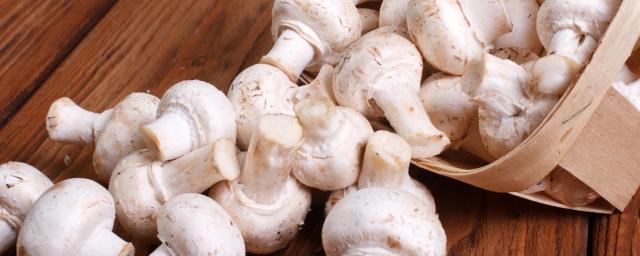 Возраст ребенка для введения грибов в прикорм: когда можно давать шампиньоны