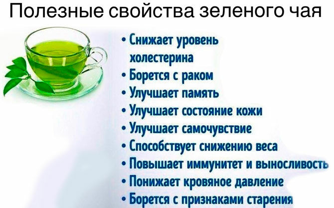 Иван чай для аллергиков