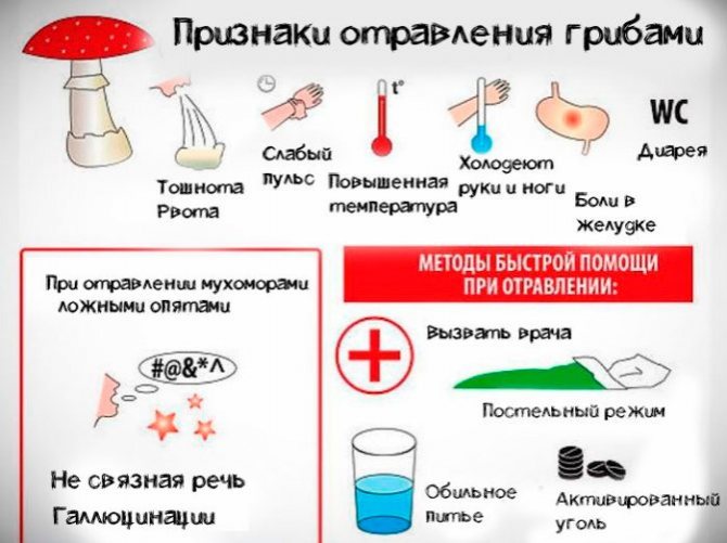 Отравилась супом его все ели