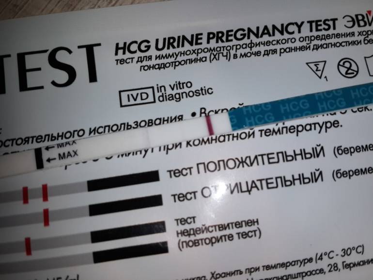 Можно ли женщине делать тест на беременность после принятия алкоголя?