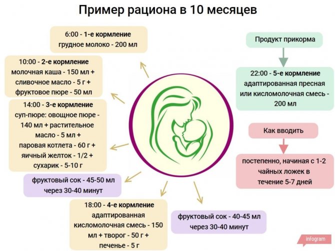 Питание ребенка в 11 месяцев, меню и рецепты – таблица рациона питания