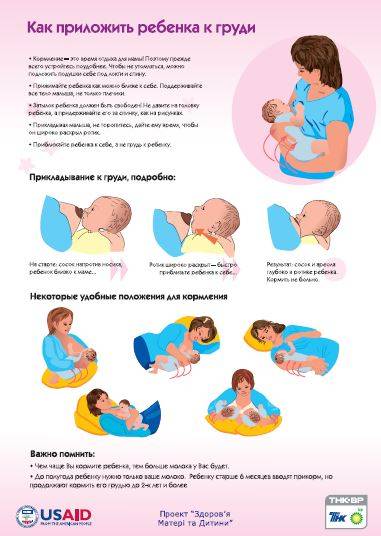 Правильное прикладывание ребенка к груди при гв
