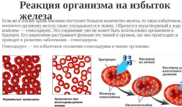 Гемоглобин у детей: нормы в крови и профилактика и признаки анемии