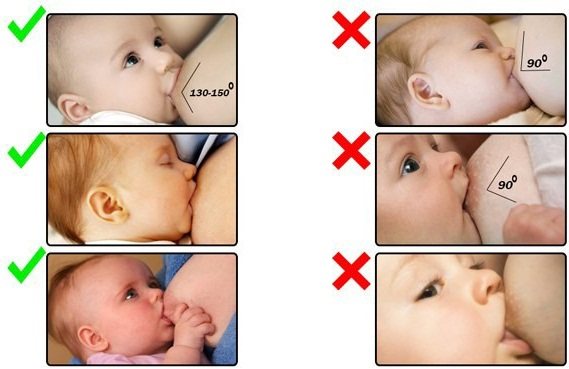Позы для гв новорожденных: как удобно приложить ребенка к груди