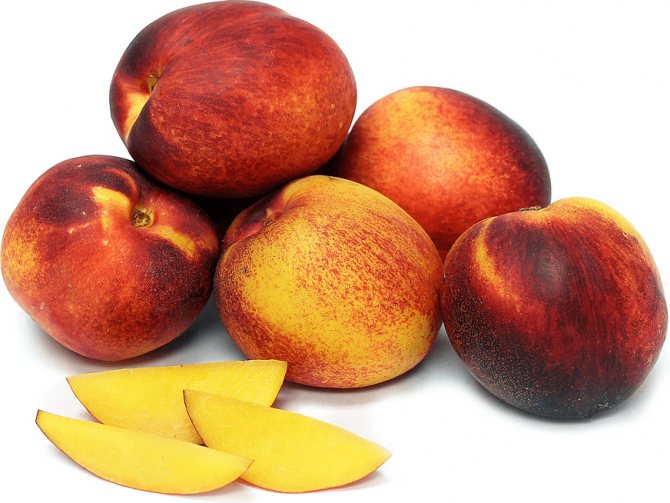 Персики при грудном вскармливании: можно ли есть, в каком количестве