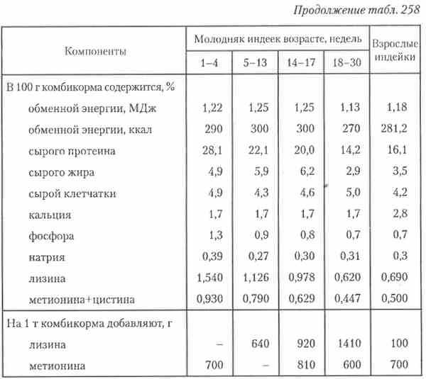 Уход за индюшатами и кормление с первых дней